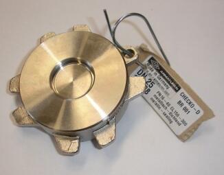 Zwischenflansch Rückschlagventil Edelstahl